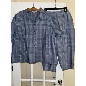 Alison Daley Blue Plaid button up shirt and cropped pants 24W